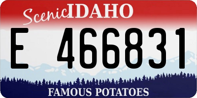 ID license plate E466831