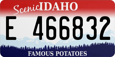 ID license plate E466832