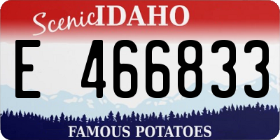 ID license plate E466833