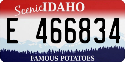 ID license plate E466834