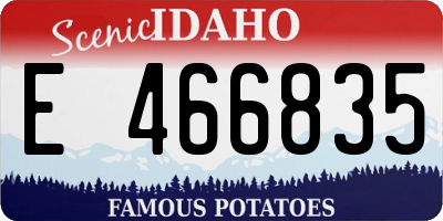 ID license plate E466835
