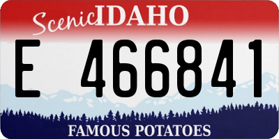 ID license plate E466841