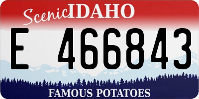 ID license plate E466843