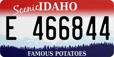 ID license plate E466844