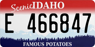 ID license plate E466847