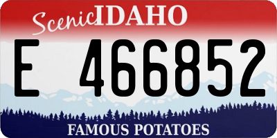 ID license plate E466852