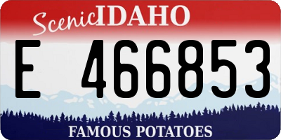 ID license plate E466853
