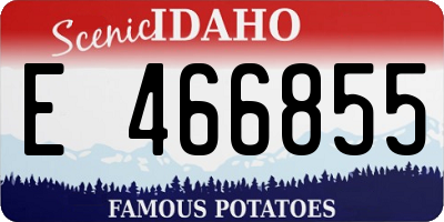 ID license plate E466855
