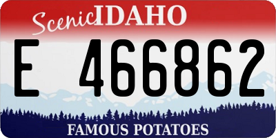 ID license plate E466862