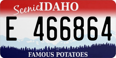 ID license plate E466864