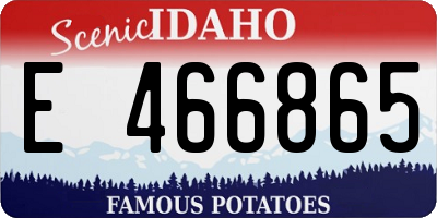 ID license plate E466865