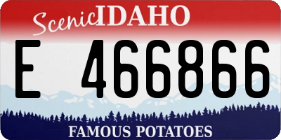 ID license plate E466866