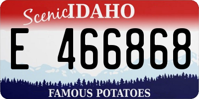 ID license plate E466868