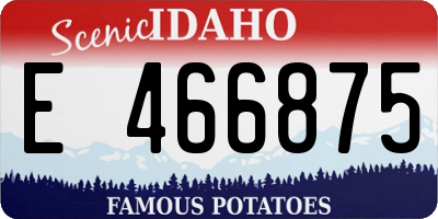 ID license plate E466875