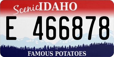 ID license plate E466878