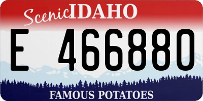 ID license plate E466880