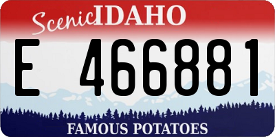 ID license plate E466881