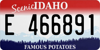 ID license plate E466891
