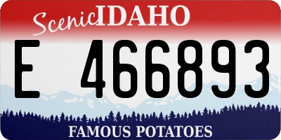 ID license plate E466893