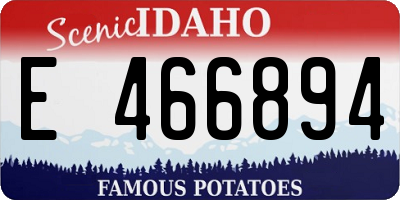 ID license plate E466894