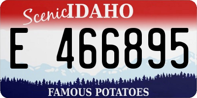 ID license plate E466895