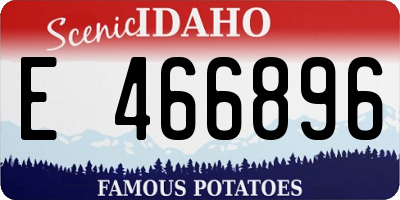 ID license plate E466896