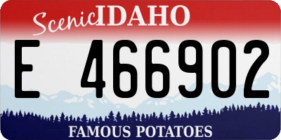 ID license plate E466902