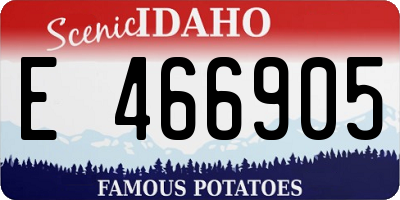ID license plate E466905