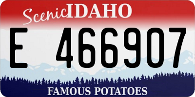 ID license plate E466907