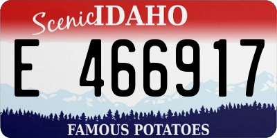 ID license plate E466917