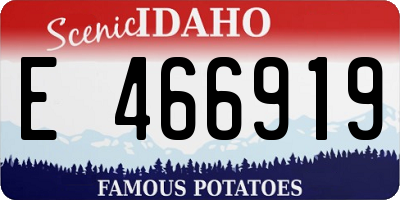 ID license plate E466919