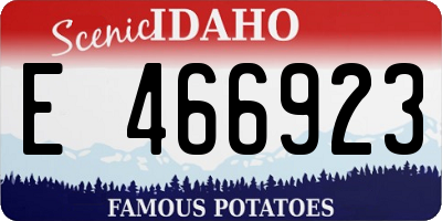 ID license plate E466923