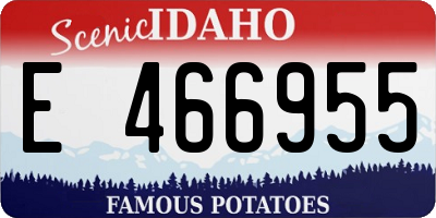 ID license plate E466955