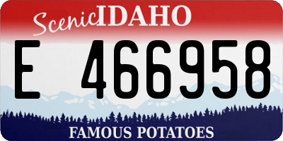ID license plate E466958