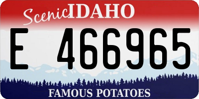 ID license plate E466965