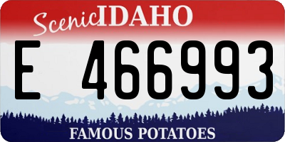 ID license plate E466993