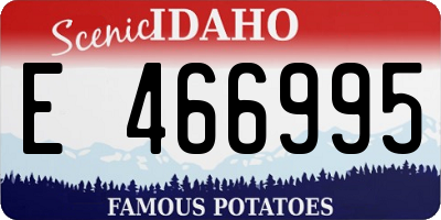 ID license plate E466995