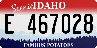 ID license plate E467028