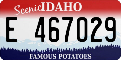 ID license plate E467029
