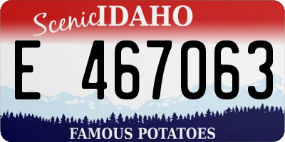 ID license plate E467063