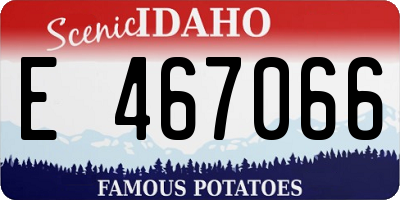 ID license plate E467066