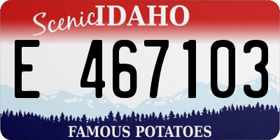 ID license plate E467103