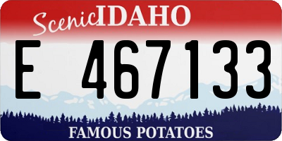 ID license plate E467133