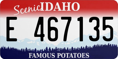 ID license plate E467135