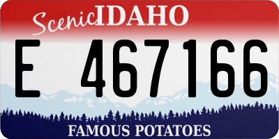 ID license plate E467166