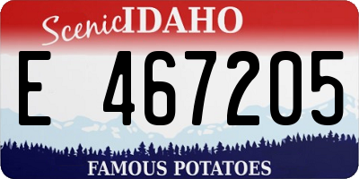 ID license plate E467205