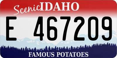 ID license plate E467209