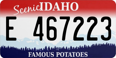 ID license plate E467223