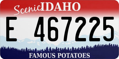 ID license plate E467225