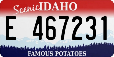 ID license plate E467231